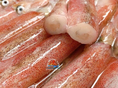Cung Cấp Mực Trứng Tươi Và Đông Lạnh - Nên Chọn Loại Nào 0