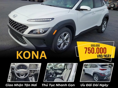 DaNang Travel Car cho tx oto tự lái uy tín Đà Nẵng 0