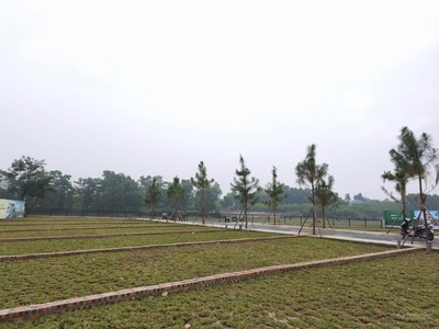 Đất trại hồ cổ đông giá nhỉnh 2 tỷ, sát cnc hòa lạc hàng hiếm 0