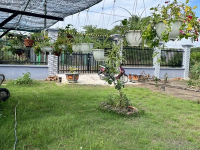 Cần bán 1000m2 đất vườn mt đường nhựa có trả có bán 2