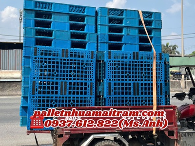  Phân Phối Pallet Nhựa Giá Rẻ, Bền, Đẹp   Vận Chuyển Nhanh Tại Sóc Trăng   1
