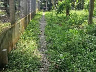 Cần thanh lý gấp lô đất thổ cư giá tốt tại giồng trôm 2