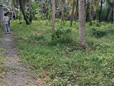 Cần thanh lý gấp lô đất thổ cư giá tốt tại giồng trôm 3