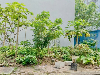 Mrs Tâm Bán đất TĐC Vinhomes xi măng Sở Dầu, Hồng Bàng, Hải Phòng 1