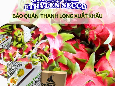 Bảo Quản Nông Sản Trái Cây Tươi Ngon Hơn với Gói Hút Khí Ethylene 5g 0