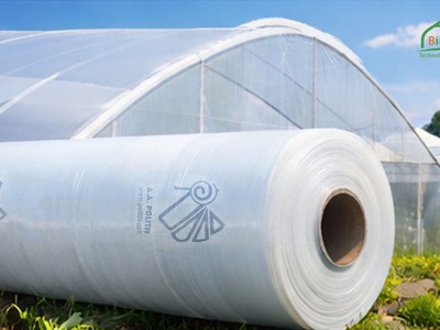 Giải pháp chuẩn cho nhà màng thường xuyên xông lưu huỳnh 3