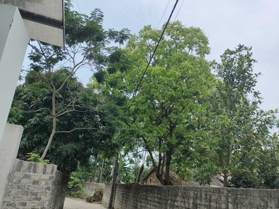 Bán gấp giá rẻ đất chia lô hợp tiến 93m, mặt tiền 5.2m, 1.4 tỷ mỹ đức, hà nội. 0