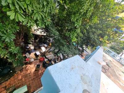 Cho thuê biệt thự sân vườn 306 nguyễn trọng tuyển, p1, quận tân bình 0