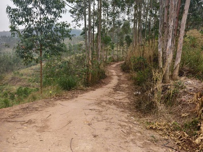 Bán lô đất 20ha rừng sản xuất thuộc kiên thành lục ngạn bắc giang. 0