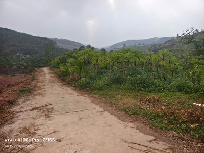 Bán lô đất 20ha rừng sản xuất thuộc kiên thành lục ngạn bắc giang. 2