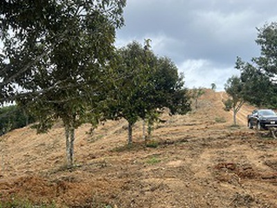 Cần bán 12000m2 giá 1000m2/550tr. ninh gia - lâm đồng. 0