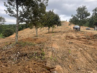 Cần bán 12000m2 giá 1000m2/550tr. ninh gia - lâm đồng. 1