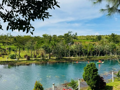 Chỉ Từ 1 Tỷ 2 Sở  Hữu Ngay Đất View Hồ Bảo Lộc Mát Mẻ, Trong Lành 3