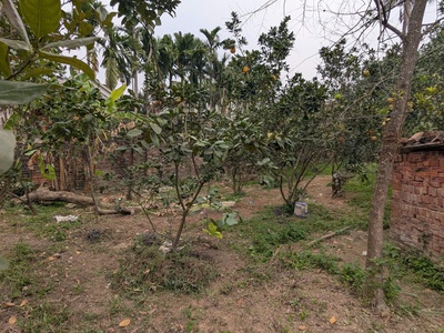 Bán đất căn góc sổ đỏ chính chủ tại Sóc Sơn 2