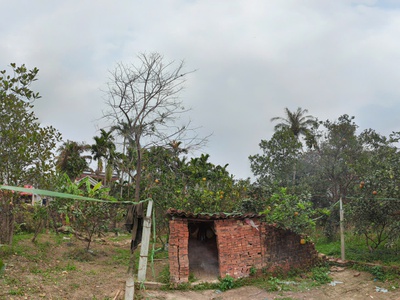 Bán đất căn góc sổ đỏ chính chủ tại Sóc Sơn 1