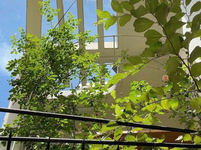 ‼ thích quảng đức phú nhuận hẻm đẹp yên tĩnh 34m2 nở hậu chỉ hơn 5 tỷ 0