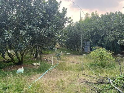 Chính chủ bán siêu phẩm đất đẹp    phù hợp cho mọi gia đình 0