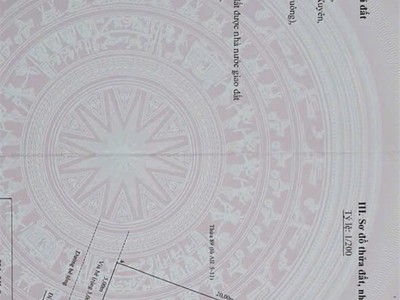 Đất tuyến 2 đường thanh niên   đồ sơn  giá 26,x tr/m   quỹ đất gần biển   thanh khoản tốt  zalo 0