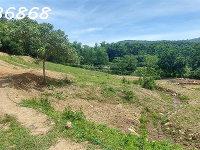 Siêu phẩm đất nghỉ dưỡng tại hòa sơn, lương sơn, hòa bình cơ hội đầu tư không thể bỏ lỡ 1