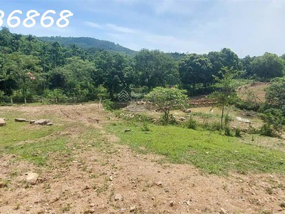 Siêu phẩm đất nghỉ dưỡng tại hòa sơn, lương sơn, hòa bình cơ hội đầu tư không thể bỏ lỡ 2