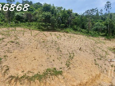 Siêu phẩm đất nghỉ dưỡng tại hòa sơn, lương sơn, hòa bình cơ hội đầu tư không thể bỏ lỡ 4