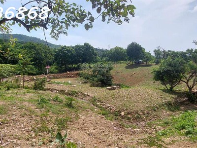 Siêu phẩm đất nghỉ dưỡng tại hòa sơn, lương sơn, hòa bình cơ hội đầu tư không thể bỏ lỡ 3