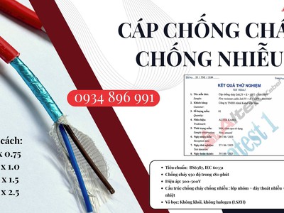 Cáp Chống Cháy Chống Nhiễu 2x1.0 Quảng Bình, Quảng Nam, Quảng Ngãi. 2