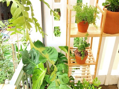 ‼ thích quảng đức phú nhuận hẻm đẹp yên tĩnh 34m2 nở hậu chỉ hơn 5 tỷ 4