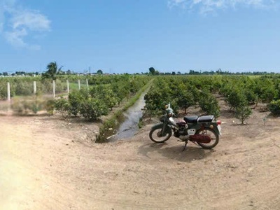 Cần bán 20178m2 đất vườn mt đường kênh số 4 0