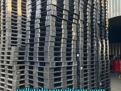 Phân Phối Pallet Nhựa Giá Rẻ Tại Bình Thuận Giá Cạnh Tranh, Giao Hàng Nhanh 5