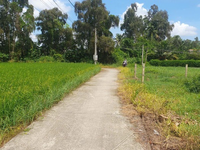 Bán lô đất lúa xã tân trụ giá 5,2 tỷ 1