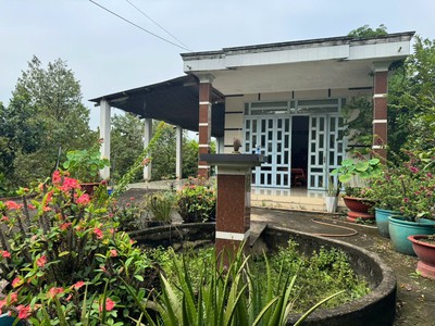 Trảng bàng-tây ninh ngộp giảm 2 tỷ còn 2 tỷ 990tr dt 3555m2 sẵn nhà cấp 4 và vườn traí cây bám 0