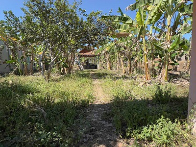 Chính chủ bán đất tại ấp 5 xã phú giáo, tp.hcm  khu phố 5, thị trấn phước vĩnh 0