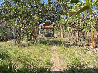 Chính chủ bán đất tại ấp 5 xã phú giáo, tp.hcm  khu phố 5, thị trấn phước vĩnh 1