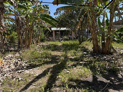 Chính chủ bán đất tại ấp 5 xã phú giáo, tp.hcm  khu phố 5, thị trấn phước vĩnh 4