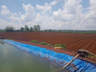 Cần bán 2,4 ha đất hẻm thuộc n,thôn hạ đức trọng cũ, lâm đồng 0