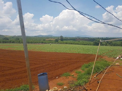 Cần bán 2,4 ha đất hẻm thuộc n,thôn hạ đức trọng cũ, lâm đồng 1