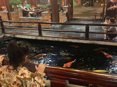 Cần bán gấp 260m2 Quán KingCafe - Cá Koi - Đẹp Nhất KĐT 31ha Trâu Quỳ - Gia Lâm 5