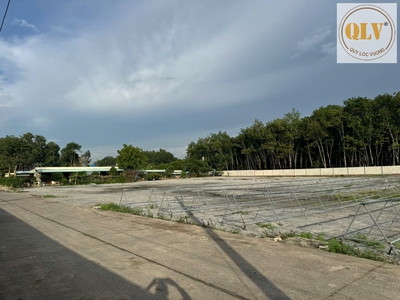 Cho thuê xưởng gỗ   PHÚ GIÁO, BÌNH DƯƠNG   10.000m 1