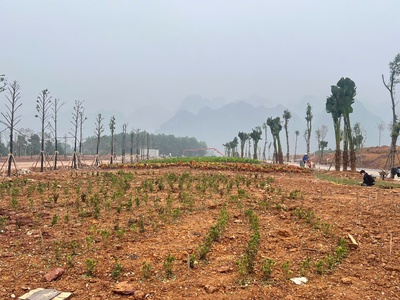 Utopia Hòa Bình Một quyết định cho giai đoạn sống khác 1