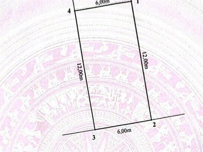 Bán nhà mặt ngõ 201 lạch tray - 72m 2 tầng - ngõ 5m - giá 4.6 tỉ 3