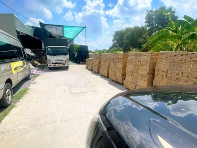 Cần bán 125m2 đất thổ cư hẻm xe hơi tới đất 1