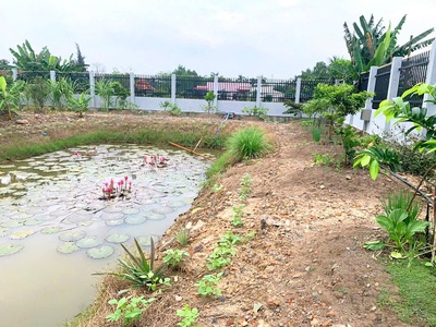 Cần bán 1931m2 đất thổ cư mt đường lương ngang flc 2