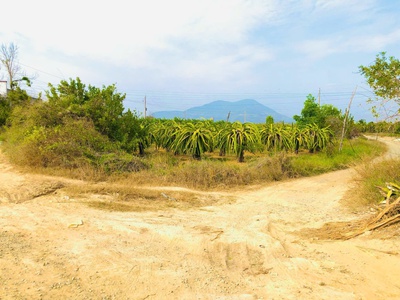 Bán 796m2 vườn thanh long tân hải, lagi giảm 50 còn 500 triệu chính chủ 2