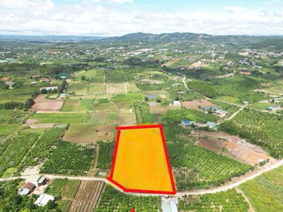 6,9 sào khu biệt thự nghỉ dưỡng, thuộc gia lâm, nam ban, lâm hà 1