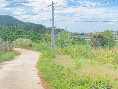 6,9 sào khu biệt thự nghỉ dưỡng, thuộc gia lâm, nam ban, lâm hà 3