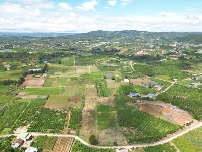 6,9 sào khu biệt thự nghỉ dưỡng, thuộc gia lâm, nam ban, lâm hà 4