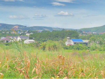 6,9 sào khu biệt thự nghỉ dưỡng, thuộc gia lâm, nam ban, lâm hà 5