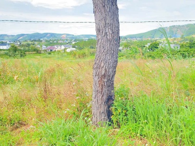 6,9 sào khu biệt thự nghỉ dưỡng, thuộc gia lâm, nam ban, lâm hà 6