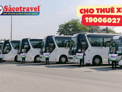 Tour Tết Miền Bắc 2026: Đón Tết Cùng Saco Travel 5